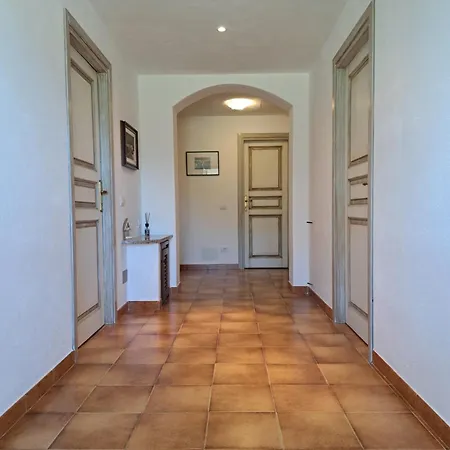 Gli Olivastri *
