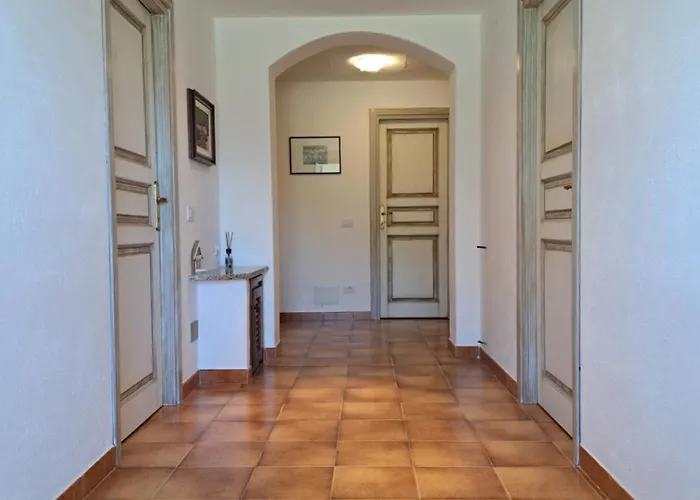 Gli Olivastri *